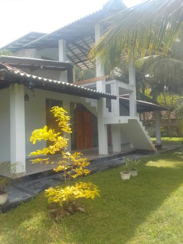 Jangal villa - image 3