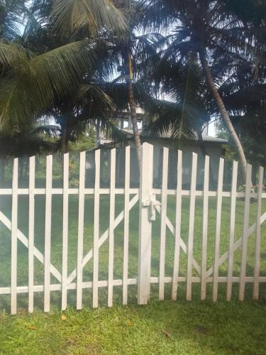 Jangal villa - image 5