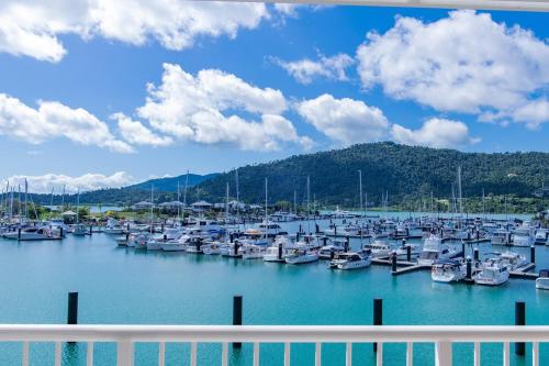 Seas the Day at the Marina