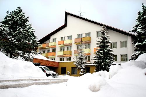 Hotel Čingov Slovenský raj - image 7
