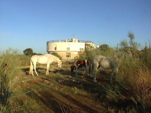 Hotel Paraje La Lambra, Rus bei Virgen de la Cabeza