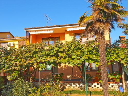 Apartment in Fažana 