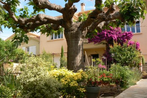 L' Escale Tranquille – Sete, FL