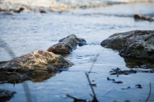 Al Glorioso Piave - image 3