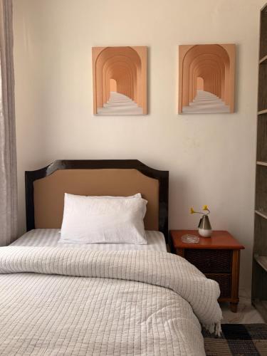 Luxury 2-Bedroom Apartment Near French Embassy, Ilala