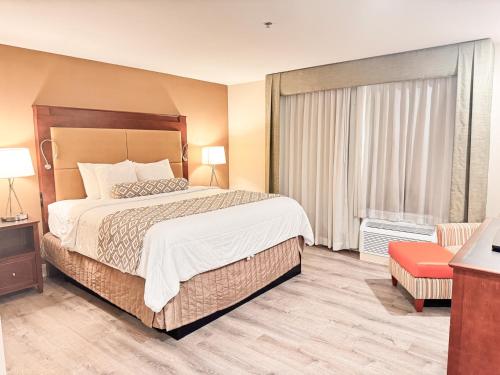 1 king bed