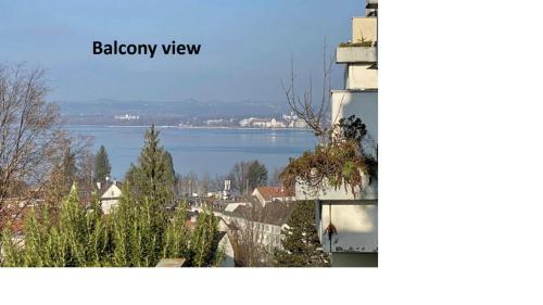 Views over Lake Constance within 5 min from city - Location saisonnière - Bregenz
