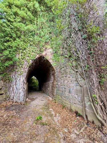 Nearby attraction, Albergue de Ruesta in Undues-Pintano