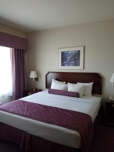 Ashmore Inn and Suites Amarillo