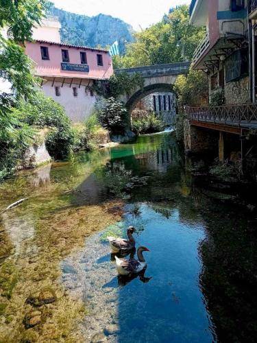 Park Suites in Livadia (Voiotia)