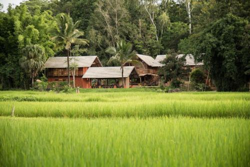 Ahsa Farm Stay - Chiang Rai