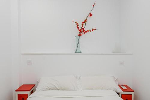 Apartamento reformado en Lavapiés, Madrid centro