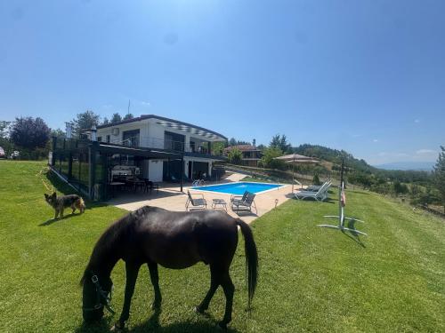 . Luxury Villa rafaela grevena