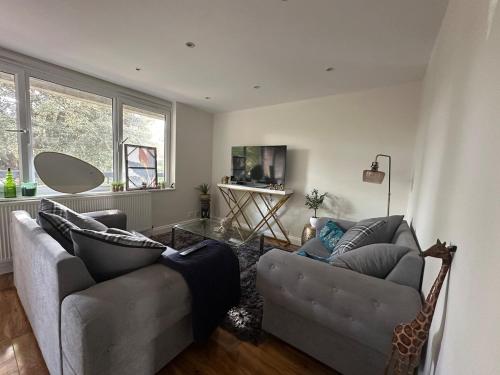 Comfortable Accommodation in South West London