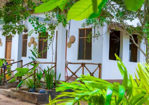 Ecokayak Beach Lodge