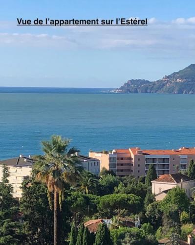Sea views and beautiful pool - image 2