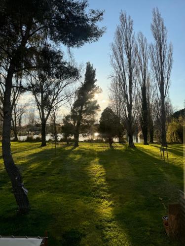 Le camarguais
