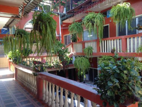 Hotel Marjenny in Copan Ruinas