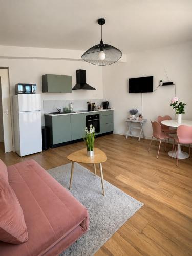 Le Romane-appartement calme et confort-15 minutes à pied de l hyper centre-parking gratuit