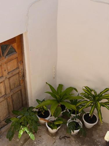 Kumbukumbu Stays - image 3