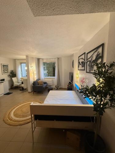 Large cozy studio - Annemasse - Close to Geneva