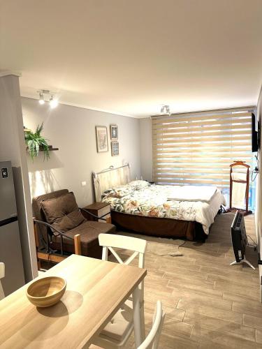 Apartment in downtown Santiago, Rondizoni Metro