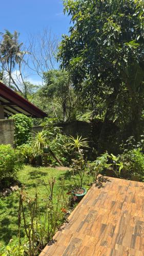 Beachside Green Homestay - image 4