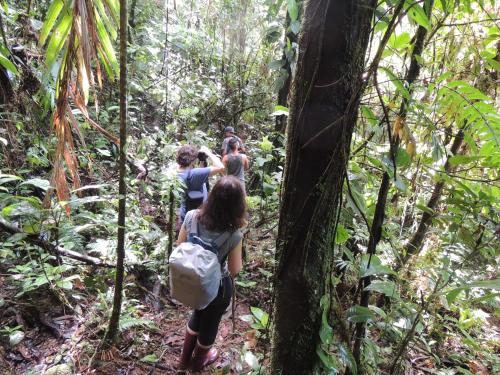 Yatama Rainforest Ecolodge