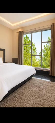 SWAT HiLL ViEW RESORT-only for families in Saidu Sharif