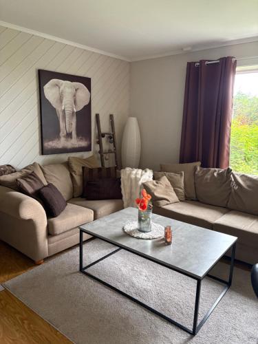 Cozy apartment with a lovely view 2