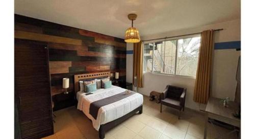 Casa Anzures Thematic - image 5