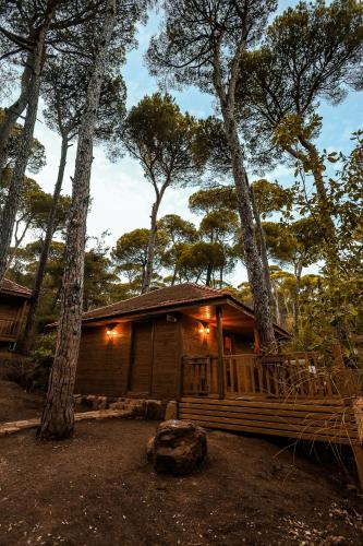 La Maison de la Forêt (La Maison de la Foret) in 杰津