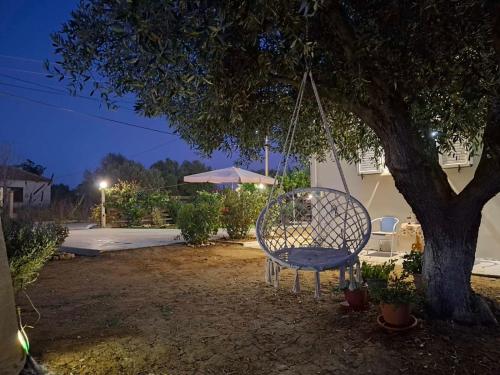 The House In The Olive Grove