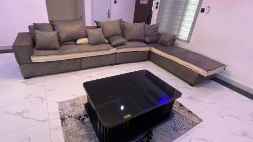Zemira Apartments Fully Furnished 2 Bedroom for Short Let - image 4