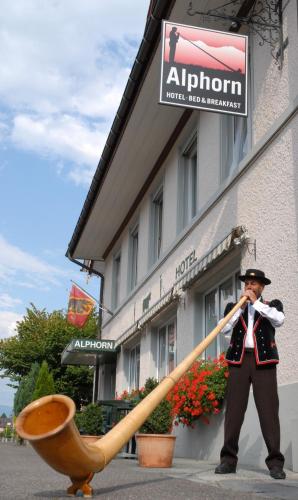Hotel Alphorn - image 14