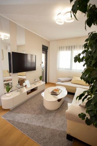 Luxury apartment Mihajlo