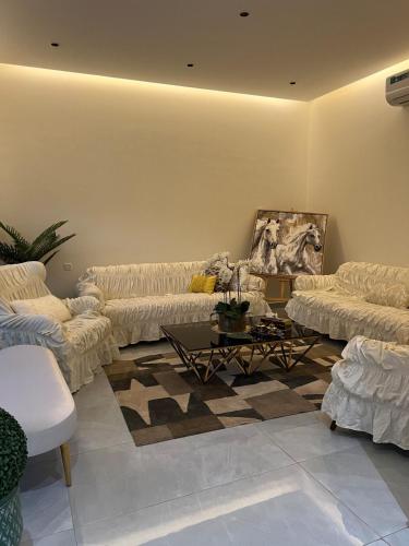Villa Al-Amal in Al Qassim
