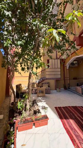 Siwa Azul Hostel in Siwa