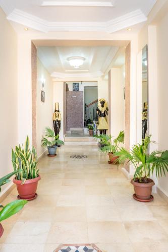 Fojė, Pyramids View Inn in Giza