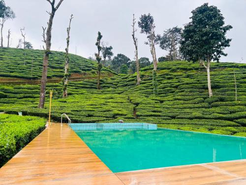 مسبح, Hotel Wayanad Gate in Thavinhal