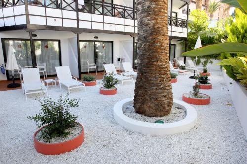 91475052 Vanilla Garden Boutique Hotel - Adults Only
