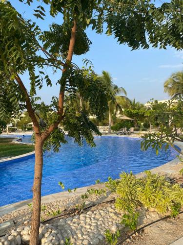 Arcadia Salalah - image 2