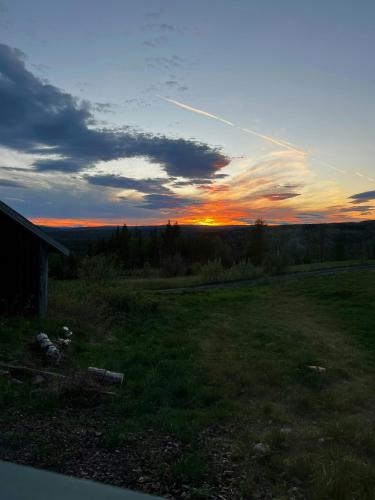 Tiny house between field and forest at Storberget in Elverum