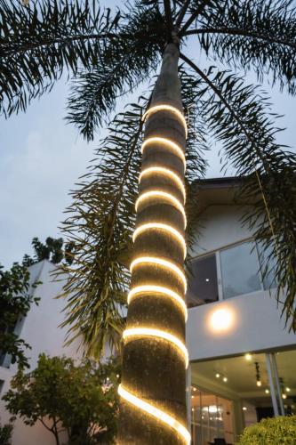 360 Southern View- Beliatta - image 5