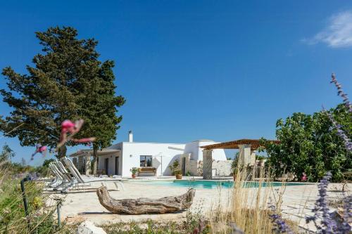 Villa among olive trees private pool and patio