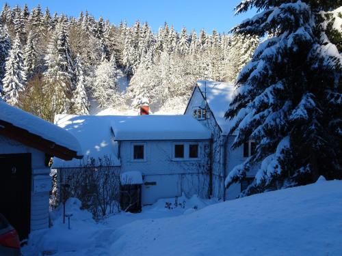 Ferienwohnung Bauer Alter Hammer in Schmiedefeld am Rennsteig, Deutschland