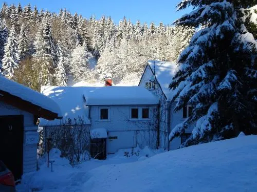 Ferienwohnung Bauer Alter Hammer in Schmiedefeld am Rennsteig, Deutschland