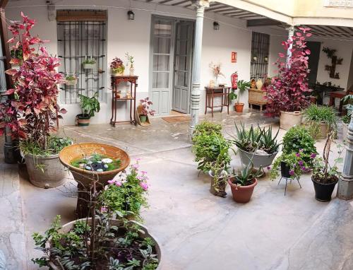 . Vivienda rural el gobernador
