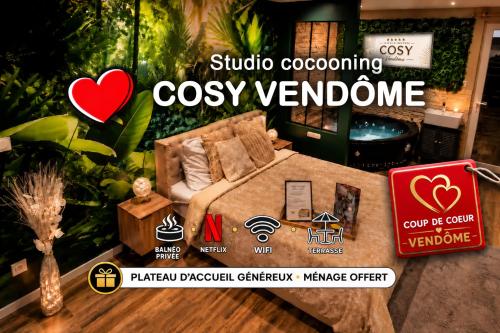 "COSY Vendôme" - Studio relaxant avec balnéo - Location saisonnière - Vendôme