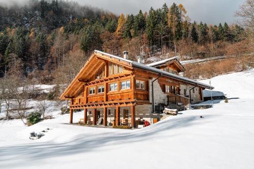 Luxury Alpine Apartment Miliani Free Parking